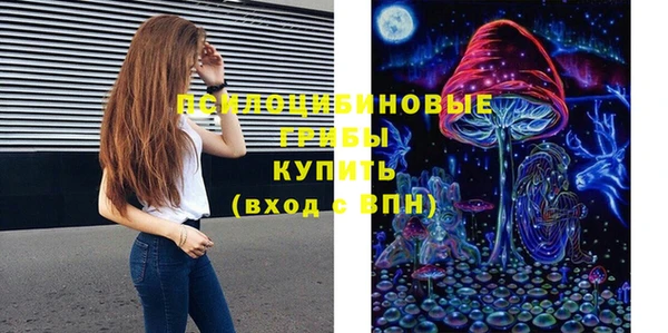 хмурый Богородицк