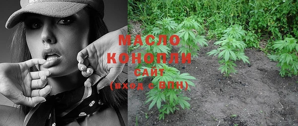 хмурый Богородицк